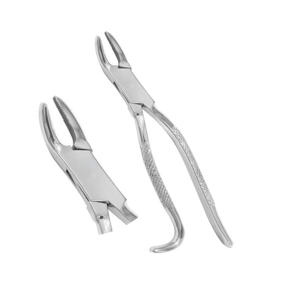 Wolf Tooth Forceps 9.5": Essential Tool for Equine Dental Procedures