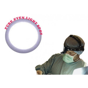 Head Light for Veterinary Dentistry and Medical Procedures