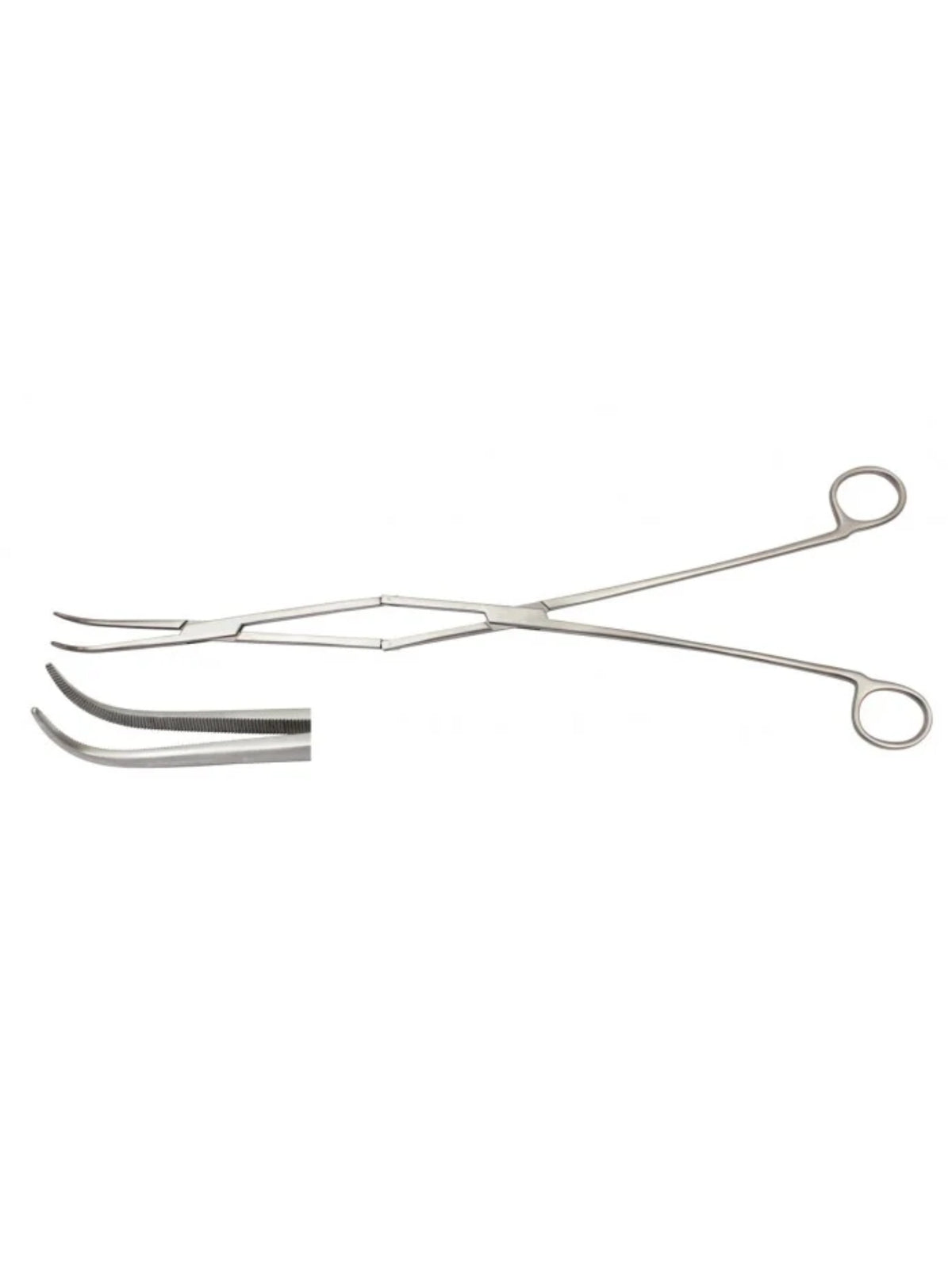 Equine Periodontal Forceps – Horse Dental Tool