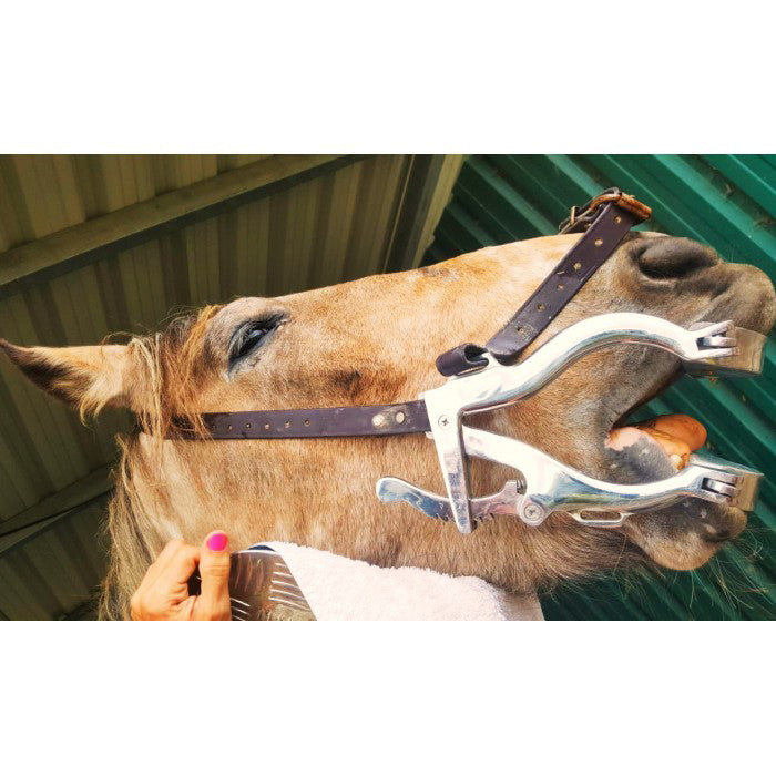 Premium Hausman SE Horse Dental Speculum: High-Quality Equine Dental Tool