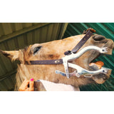 Spéculum dentaire pour chevaux Hausman SE Premium : outil dentaire équin de haute qualité
