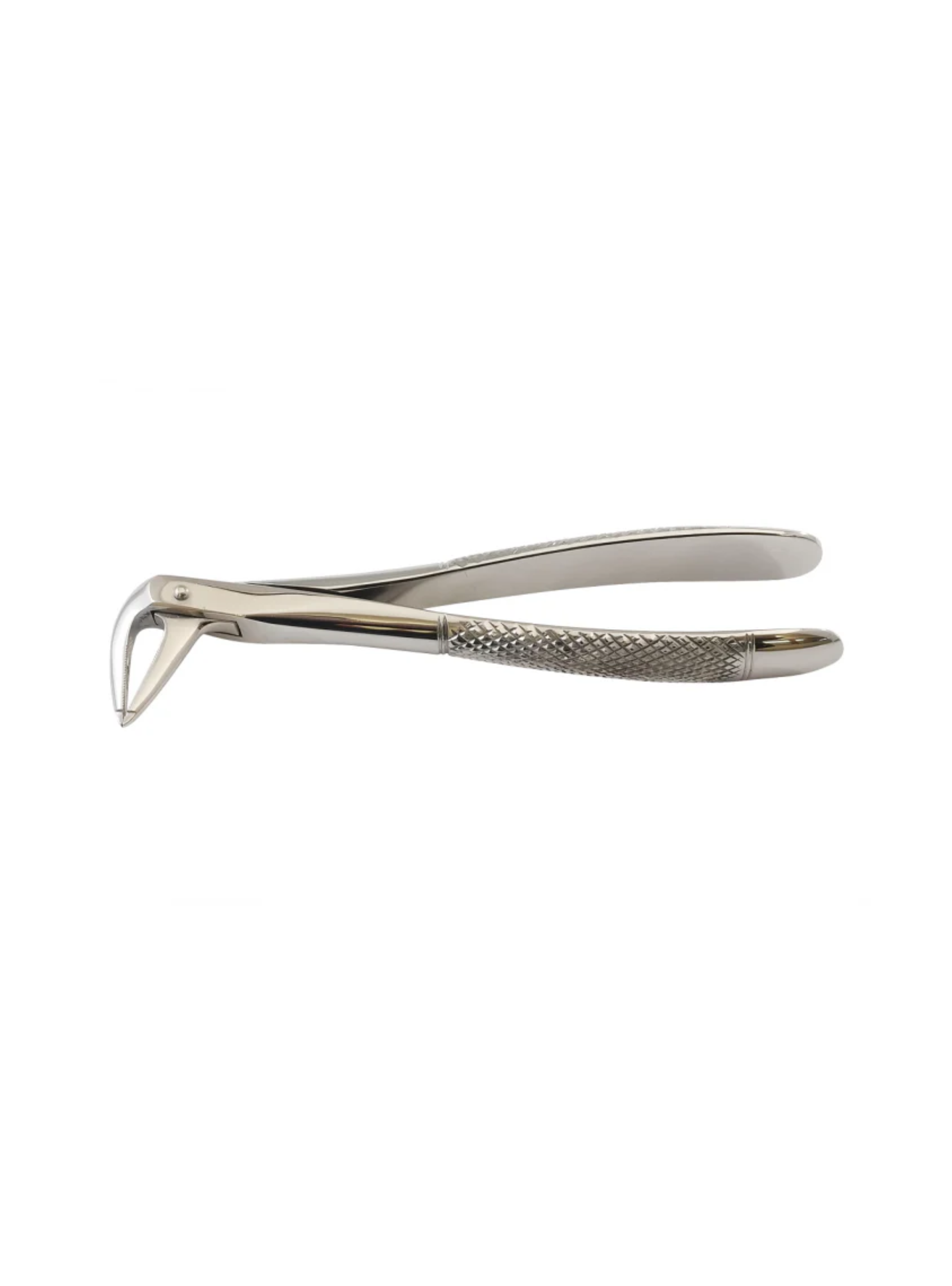 Turned Head Beak Extraction Forceps 6″