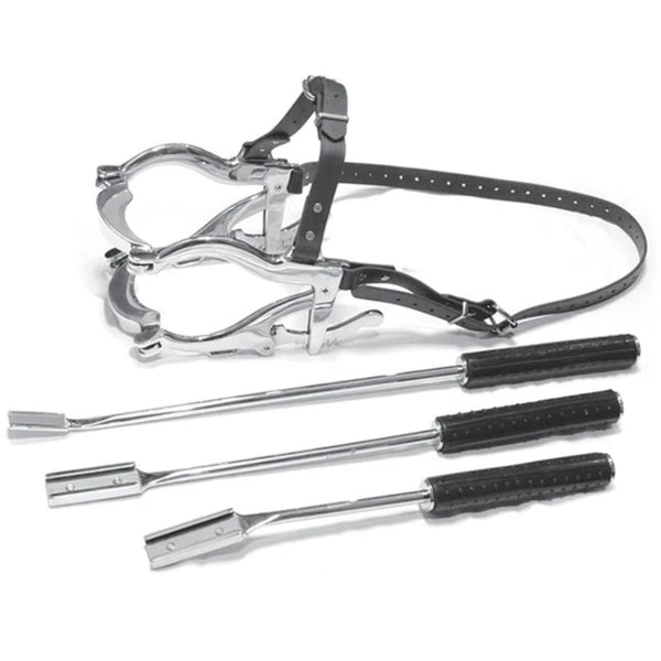 Basic Equine Dental Float Rasp Kit Essential Tools for Veterinary Den