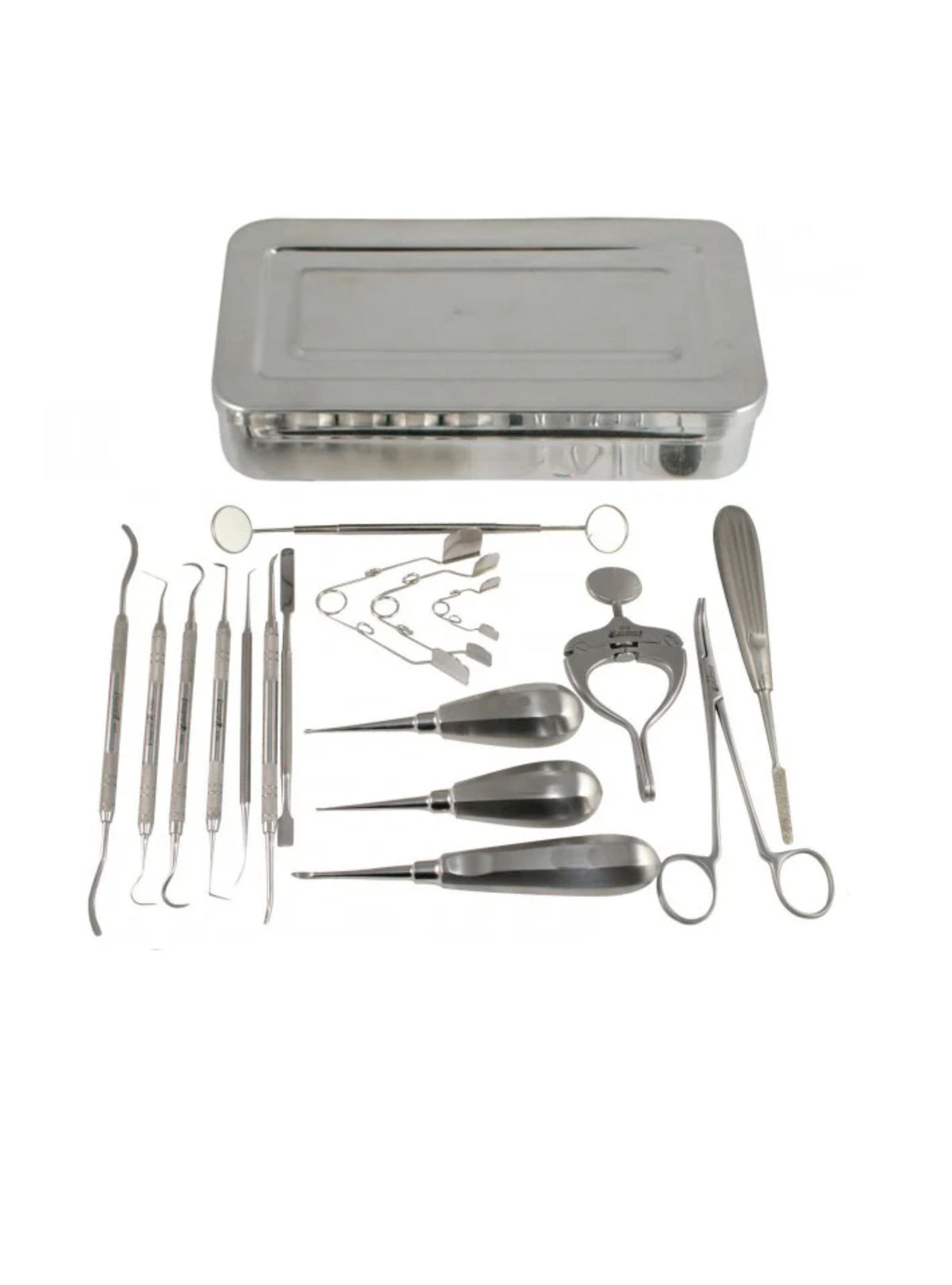 Deluxe Rodent Dental Kit