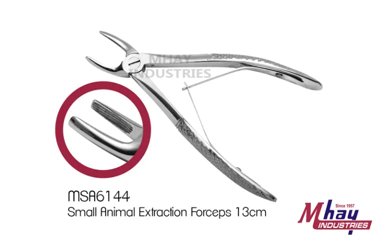 12,5 cm kleine Extraktionszange mit abgewinkelten Backen für chirurgische Eingriffe