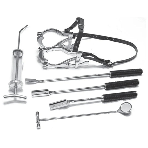 Basic Equine Dental Float Rasp Kit Essential Tools for Veterinary Den